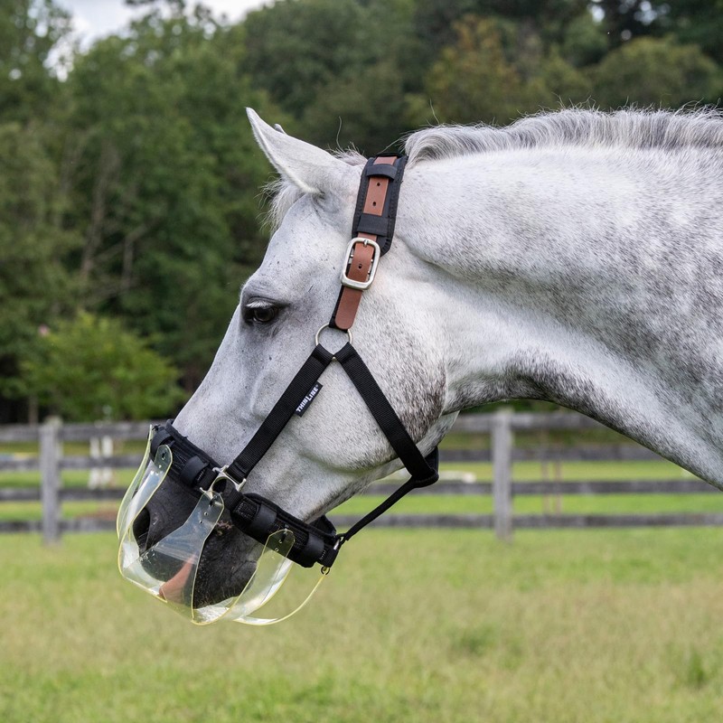 Thinline Turnout Halter for Use with Grazing Muzzle | Horse