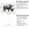the lazy panda card company 64 Animal Postcards - Postcards