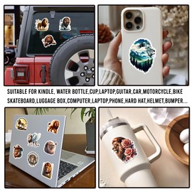 WESILY Pack 50 PCS Lion Stickers Cartoon Cute Animal Waterproof Small Vinyl Decals Decorations Water Bottles Laptop Phone Cup Scrapbooking Luggage Gifts Birthday for Teens Girls Boys Adults