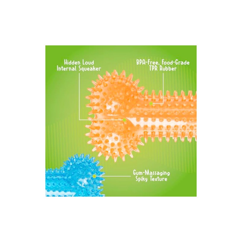 Gnawsome Medium Squeaker Bone for Dogs