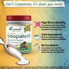 DivyaHerb Sitopaladi Powder 100grm, Natural, (Pack of 1)