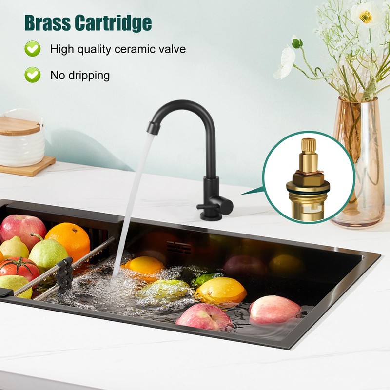 Heyalan Cold Water Only Kitchen Faucet Single Handle 1 Hole
