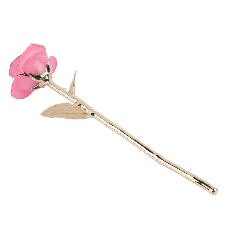 24K Gold Rose Dipped Golden Leaves Girlfriend Wife Valentine's Day