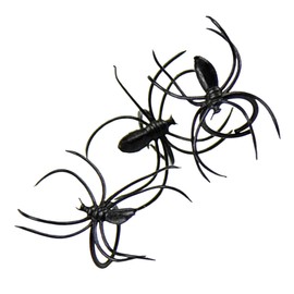 Bag 50 spiders