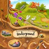 Discovering the Secret World of Nature Underground (Happy Fox Books)