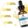 Bioglossy Vitamin CE Ferulic Acid Serum 20% Vitamin C Serum
