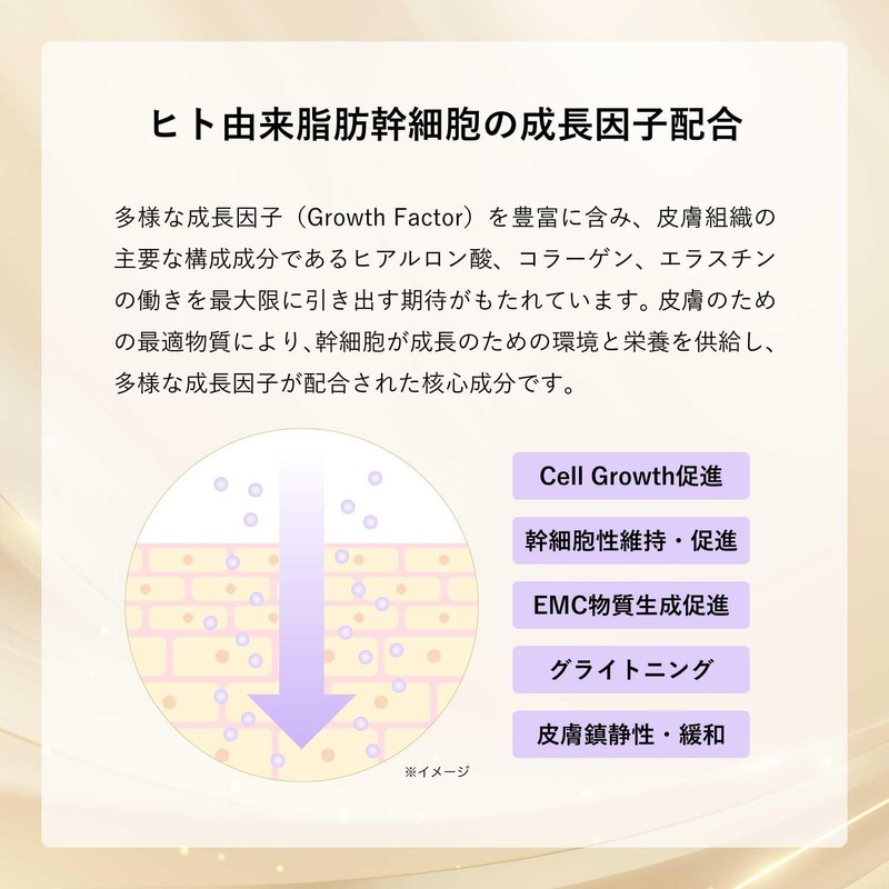 Wise Cosmetics Premium SC Cream