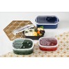 Tatsumiya 30441 Japanese Pattern Fred Long Rectangular Lunch Blue Sea