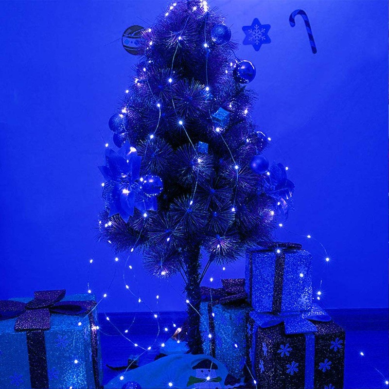 RUICHEN Silver Wire 33 Ft 100 LED USB Fairy String