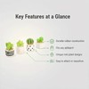 Mini Plants for Car Dashboard Decor, 4-Pack