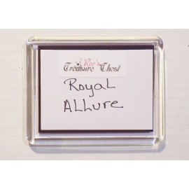 REFRIGERATOR MAGNET ROYAL CARIBBEAN ALLURE CRUISE SHIP - 3.5”x 3”