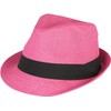 Ashen Fane Classic Pleated Hat Band Straw Fedora Unisex Hat,