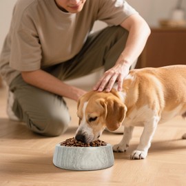 Marble Dog Bowl - Suitable for Medium to Large Dogs Types Bowls Dish Food and Water Sturdy Gifts for Dogs (NS039)