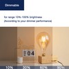FLSNT LED Large Decorative Pendant Light Bulbs 60W Equivalent, Dimmable