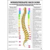 Ruediger Anatomie MIPO41LAM Vertebral Therapy According to Dorn Board, 24 cm x 34 cm, Laminated