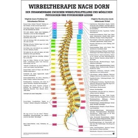 Ruediger Anatomie MIPO41LAM Vertebral Therapy According to Dorn Board, 24 cm x 34 cm, Laminated