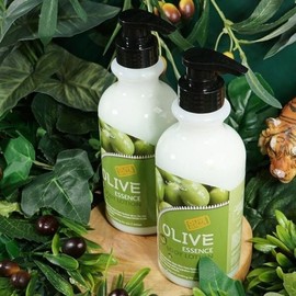 SS62 Basil Leaf Extract Subtle Fragrance Olive 500ml x 2 - ONECOLORFREE / 에스에스62바질잎추출물 은은한잔향 올리브 500ml 2개 - ONECOLORFREE