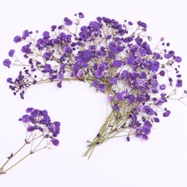LYFORTZY 30 Branches Purple Pressed Flowers Bulk Dried Flower Kit for Resin , Dried Babys Breath Flower Natural with Tweezer for Crafts Christmas DIY Gift Scrapbooking Photo Props.