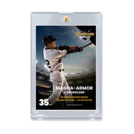 Ironguard Magna-Armor - 35pt