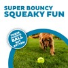 Outward Hound Squeaker Ballz – Squeaky Tennis Balls for Dogs