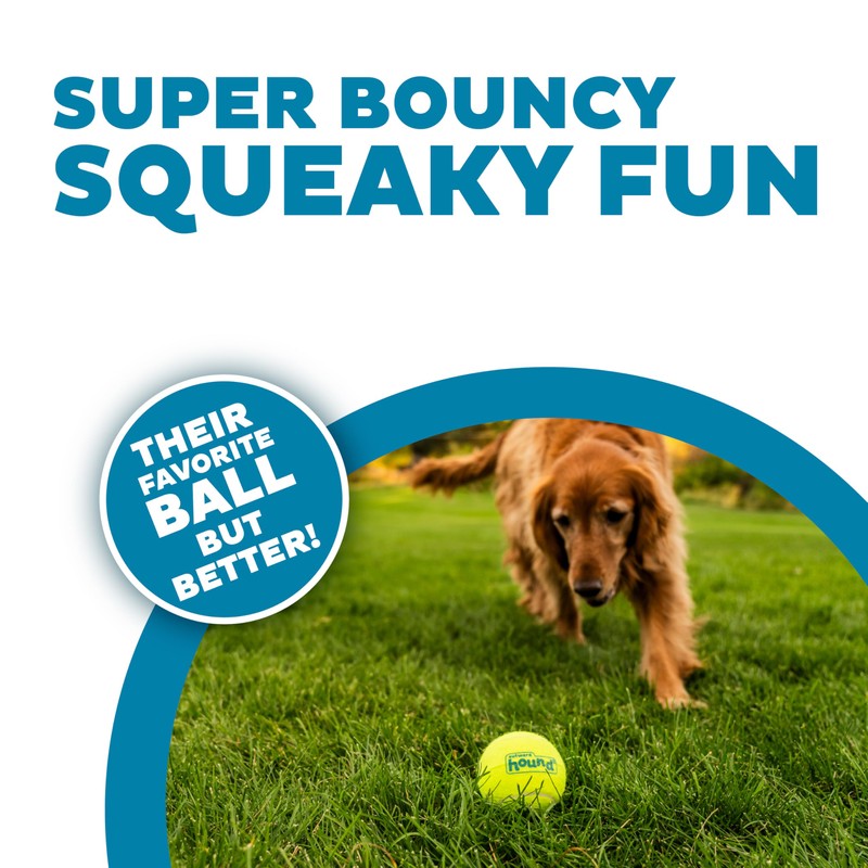 Outward Hound Squeaker Ballz – Squeaky Tennis Balls for Dogs