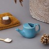 Ancient Impex Ceramic Neti Pot, Spill Proof with 5 Sachets