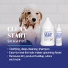 Chris Christensen Clean Start Clarifying Shampoo, 16-Ounce