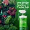PRINOX® Odour Neutraliser (2 x 580 ml)