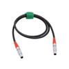 HangTon LBUS to LBUS Cable for Cforce RF Motor ARRI