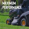 STP Premium Small Engine 4 Cycle Oil Formula, SAE10W-30 Small