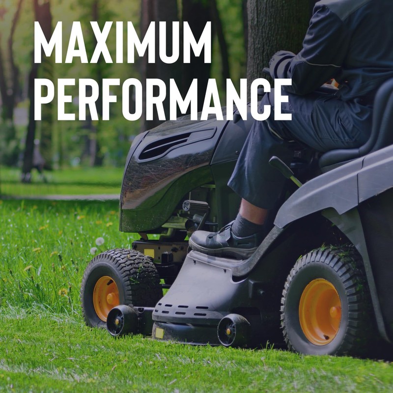 STP Premium Small Engine 4 Cycle Oil Formula, SAE10W-30 Small