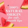 Burts Bees, Squeezy Tinted Lip Balm - Watermelon Rush, 0.43