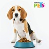 Fancy Pets Plato de Colores Surtidos para Perro con 32