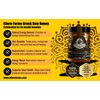 Ellora Farms Single Estate PDO Raw Greek Honey, Pine &