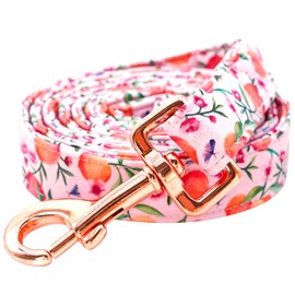 Lionheart glory Strong Dog Leash Pink Peach Girl Durable Dog Leashes with Comfortable Soft Handle for Small Medium and Large Girl Dogs