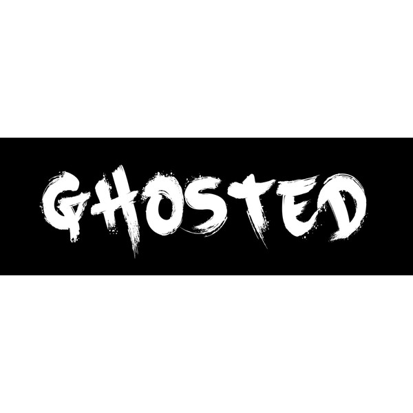 Ghosted Sticker Large 3x9" Fun Graffiti Style Racing Message for