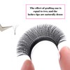 FADVAN Lash Extension 5D W Lash Bundle 0.07C Curly Mix