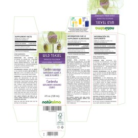 Naturalma Wild Teasel or Fuller's Teasel (Dipsacus fullonum or D. sylvestris) Root Alcohol-Free Tincture 4 fl oz Liquid Extract in Drops | Herbal Supplement | Vegan | Product of Italy