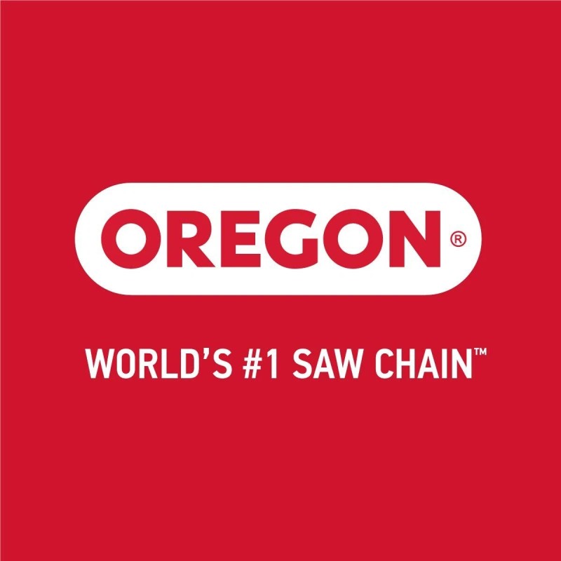 Oregon PS250-E6 Pole Saw Replacement Bar and Chain, 084MLEA041 /