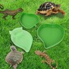 Wasserschale Terrarium, 4 Stück Reptilien Wasserschale, Reptilien Näpfe mit 2
