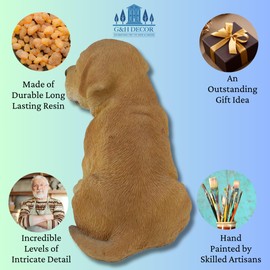 G&H Decor – Labrador Puppy Resin Animal Lawn Statue – Hand Finished Ornament with Intricate Detail – Figurine Suitable for Indoor or Outdoor Use – Frost Resistant Garden Patio Labrador Gifts (Sitting)