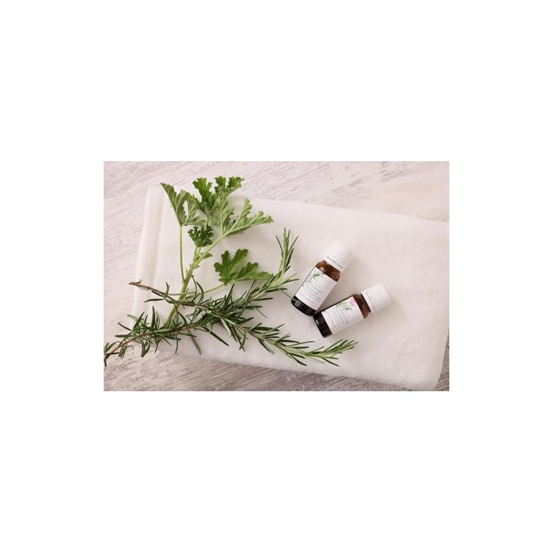 ラベンダー（フランス産・真正）5ml NATURELLE ナチュレール 無農薬 エッセンシャルオイル・精油(100%天然)