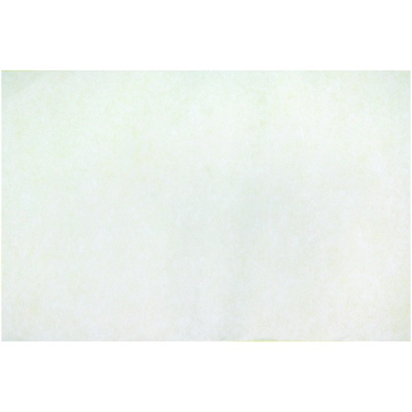 Roylco Color Diffusing Paper - 12 x 18 inches - Pack of 50 Sheets - White