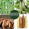 Esponja de baño natural 4 piezas exfoliante corporal de fibra