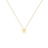 DeScount Dainty Little Gold Star Necklace,Simple Tiny Rising Star Pendant