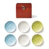Dolce duo SL-1659 Mino Ware Small Plates, Set of 6
