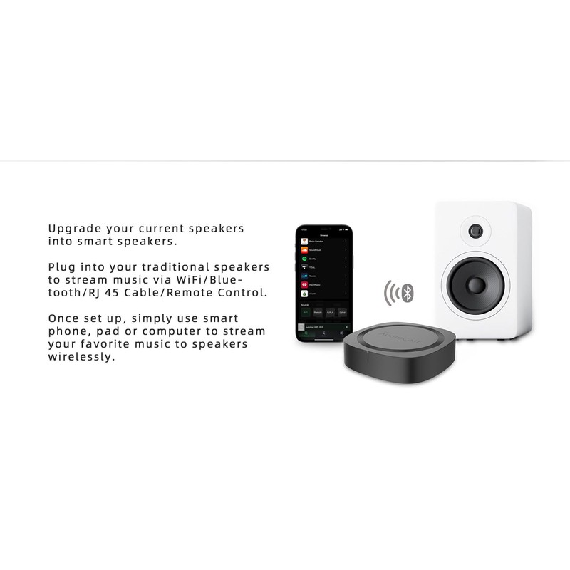 ACEMAX Audiocast Pro M20 Wireless WiFi Audio Receiver Multiroom Adaptor