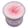 Gradient Yarn Fairy Dust 4 or 3 Thread Bobbel Wool