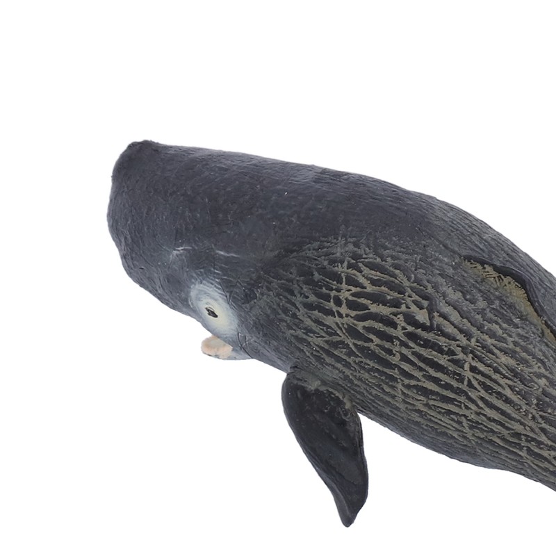 Realistic Sperm Whale Replica Simulated Marine Animal Model Educational Collector