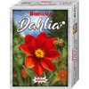 Bohnanza Dahlia
